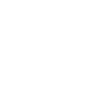 Blueprint 2025